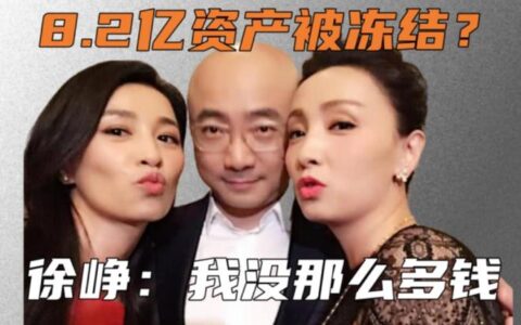 徐峥回应出国是因为拍戏不存在转移数亿财产我也没有多少亿的资产（徐峥旧照）