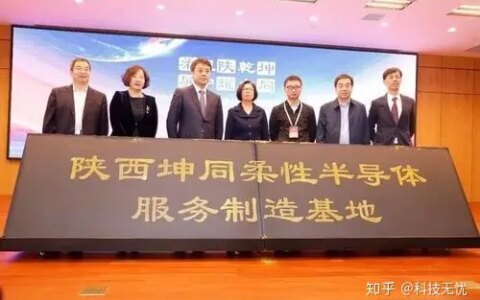 多个超百亿“中国芯”项目烂尾，内忧“冤大头”，外患“芯骗”！-中国芯公司简介