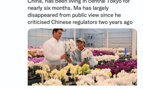 马云到哪里去了？据传已在东京生活了近六个月（马云到哪了）