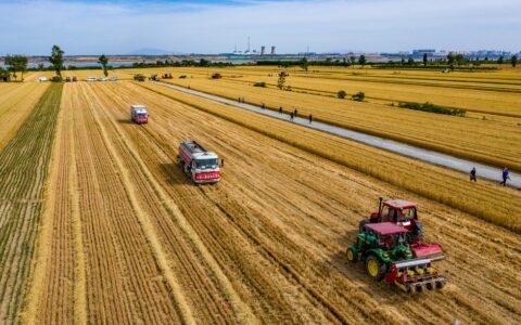 90后大学生回乡创业，靠卖东北大米，半年赚500万（卖东北大米赚钱吗）