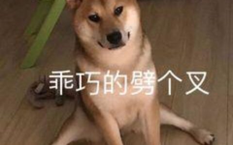 vivo手机云服务居然有这些神技能！用这么久手机都不知道，真浪费-vivo云服务功能在哪里