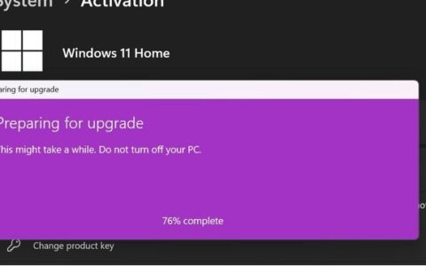 安全漏洞曝光：ChatGPT开启获取Windows 11激活密钥的突破-安全的漏洞鳄鱼
