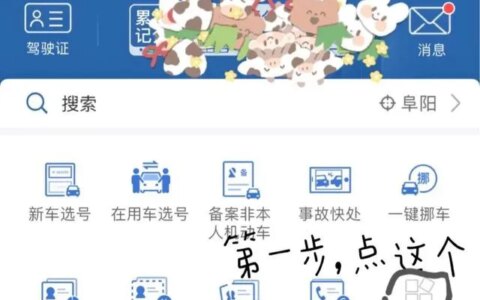 手把手教你驾驶证如何换照片，手机交管12123上操作，超详细-怎么更换驾驶证照片