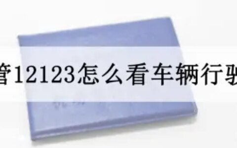 交管12123怎么看车辆行驶证，机动车行驶证电子版12123怎么弄？-行车证怎么查询过户次数