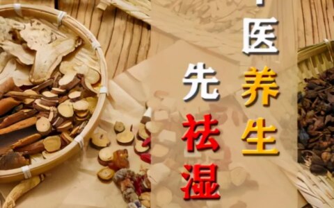 五指毛桃不是桃，红豆薏米不祛湿，40年老药师帮你避开祛湿的坑！-五指毛桃赤小豆薏米煲猪骨