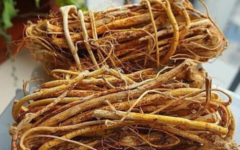 五指毛桃作用原理能用科学解释吗？-五指毛桃有何用