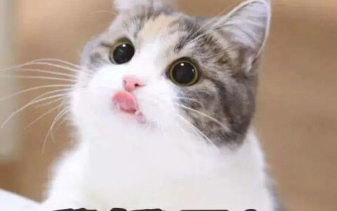 一锅鸡汤毒倒一群人！认清它：这种东西千万不要出现在餐桌上-熬了很多毒鸡汤