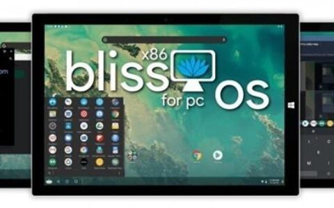 BlissOS12的研发：可在桌面设备安装安卓10系统-win10安装安卓子系统