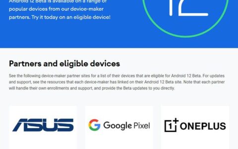 Android 12 公测版 Beta 1 现已推出，教你如何安装-安卓12原生壁纸