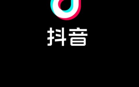 TikTok？新文化消费！？-tiktokplugin最新版