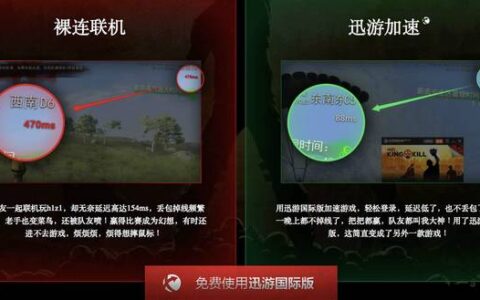 迅游国际版开启免费加速 助力h1z1登顶steam榜-迅游网游加速器和国际版有什么区别吗