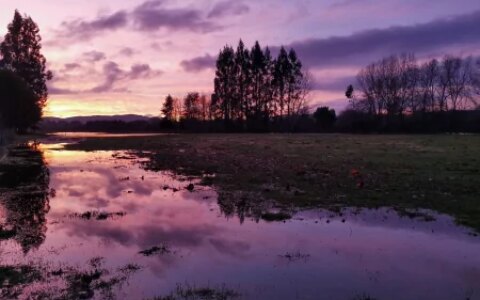 规则怪谈：我有无限天赋-规则游戏电视剧