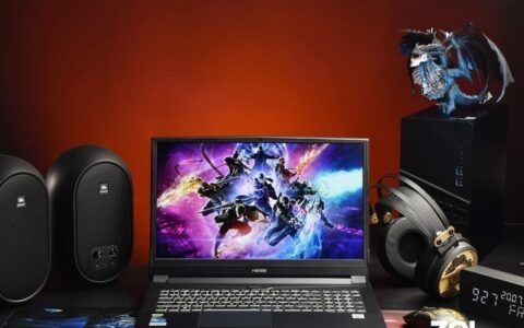 NVIDIA GeForce RTX 3070笔记本电脑GPU加持！万元内值得买的高性能游戏本-NVIDIA GeForce MX350 显卡