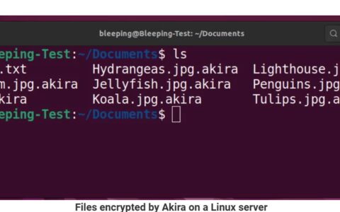 勒索软件 Akira 瞄准 VMWare 旗下软件而来：加密用户虚拟机镜像-vmware勒索病毒补丁升级