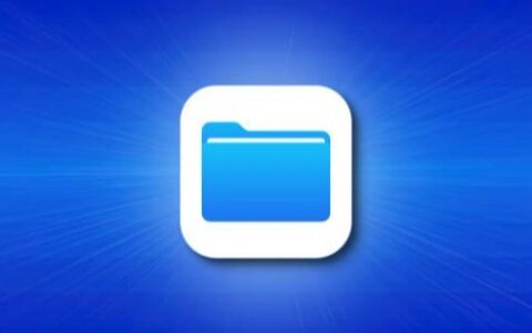 如何在 iPhone 或 iPad 上查找下载的文件-ipad如何查找下载的文档