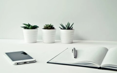 如何组织和构建您的知识库-如何建立自己的知识体系 知乎