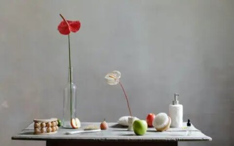 WordPress是什么？如何安装和配置WordPress？-wordpress是干什么的