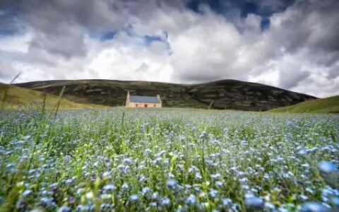 创建WordPress网站的简易指南-wordpress搭建wiki