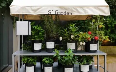 如何用云服务器建立一个wordpress网站？-怎么用云服务器搭建网站