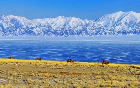 手机语音转文字怎么设置？录音转文字助手-手机上如何将语音转变为文字