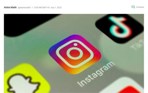 用Reels打败TikTok？Instagram出新招 全力拓展短视频功能-如何自制泰迪狗粮