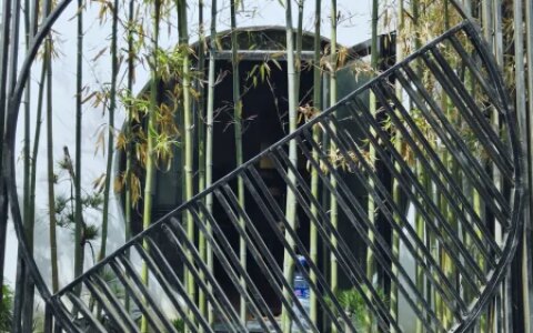 开淘宝店怎么注册公司？营业执照办理手续-开淘宝店怎么注册公司?营业执照办理手续流程视频