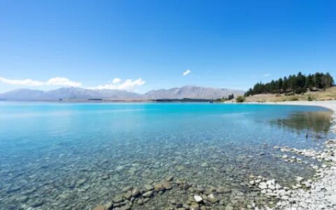 新西兰公司注册条件-新西兰注册公司网站查询