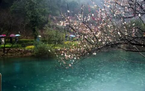 “湿气”最怕这2类菜，隔三差五吃一次，驱寒避湿，一身轻松-去湿气吃什么菜