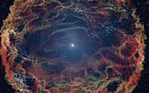 欲望在时空上的协同性-在欲望的世界