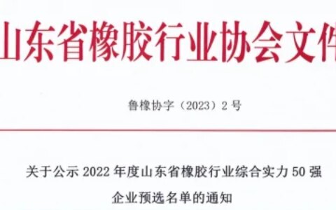中国轮胎看山东，山东轮胎企业排行榜！-山东著名轮胎生产企业