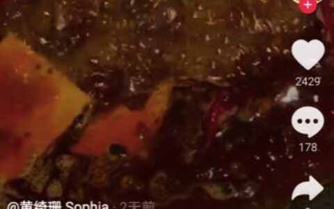 51岁黄绮珊近况曝光，离婚三次至今单身，前夫早已娶小22岁娇妻！-黄绮珊出名吗