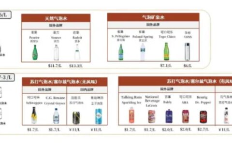 “十分钟”了解“元气森林”-元气森林 百度文库