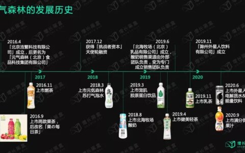 12000字解读元气森林：套利与降维的游戏-元气森林的简介