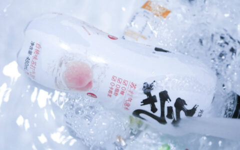 元气森林：为组织“打气”-元气森林cis