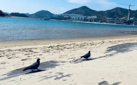 二零二一 三月 随笔-3月教育随笔幼儿园