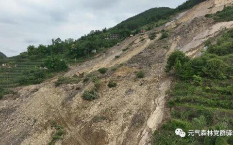 携手克时艰——元气森林党委向多地捐赠50余万元抗洪救灾物资-元气森林食品科技集团公司介绍