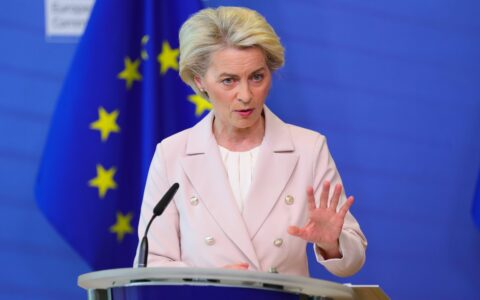 华盛顿消息人士：拜登未支持冯德莱恩执掌北约-华盛顿拜登就职仪式