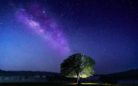 职业教育2022：厚积薄发，蓄力前行-职业教育资讯app