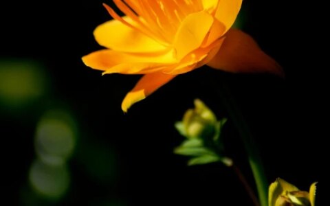 做人，当静水流深，张驰有度；做事，当不急不躁，厚积薄发-静水深流,张弛有度,事急则缓,事缓则圆