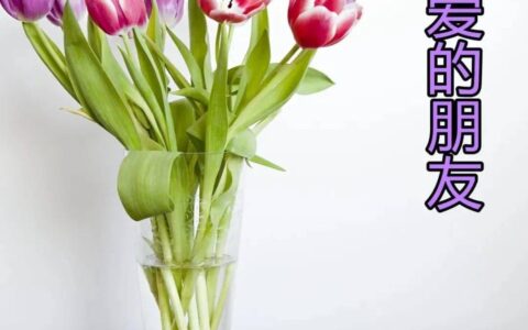 原创
超漂亮早上好表情图片带鲜花 2023最新版早上好动态表情图片-早上好鲜花动态表情