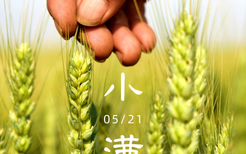 小满，将满未满——一个蕴含希望的节气-小满 啥意思
