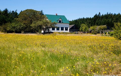 广东售电价格是多少钱（广东电费收费）