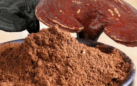 孢子粉的功效和价格（孢子灵芝的功效与作用及食用方法禁忌症）