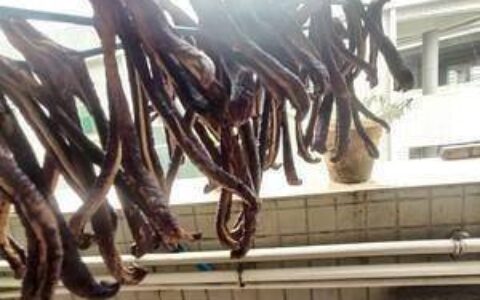 原创
茄子干怎么炒好吃又简单（茄子干怎么样做）