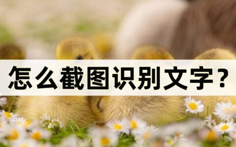 怎么截图识别文字？截图识别的三个方法-如何截图识别文字并复制出来