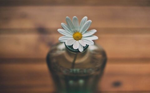 原创
脑筋急转弯：什么样的男人可以轻松迷倒任何女人？-什么样的男生最专一