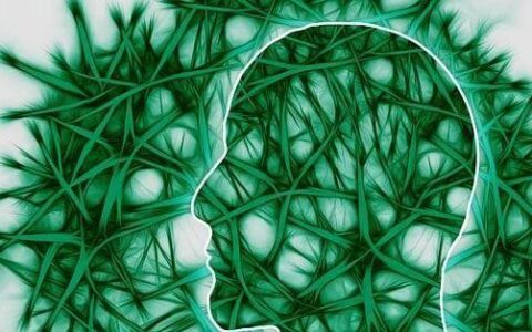 常吃这几种食物，健脑益智，增强记忆力（健脑提高记忆力菜谱有哪些）