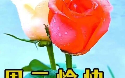 最新早上好祝福问候语精选，早上好暖心祝福问候语-早上好问候短句