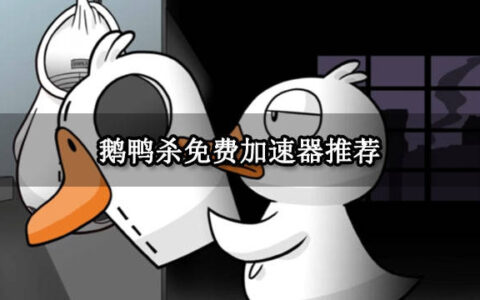 鹅鸭杀免费加速器推荐 免费的联机加速器分享-杀鸭子给鹅看是什么意思