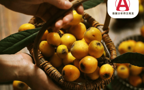 中医说枇杷药膳功效与作用多，吃山东枇杷，塘栖枇杷，数据分析师王雨龙分享（枇杷的功效与作用）